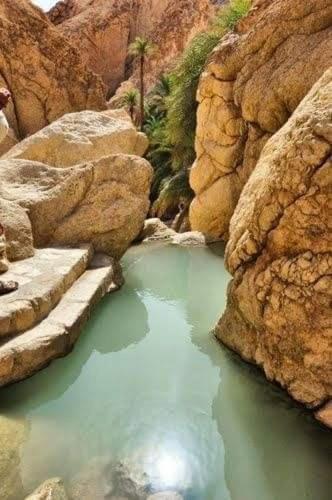Villa Atlas Oasis Shabikah Buitenkant foto