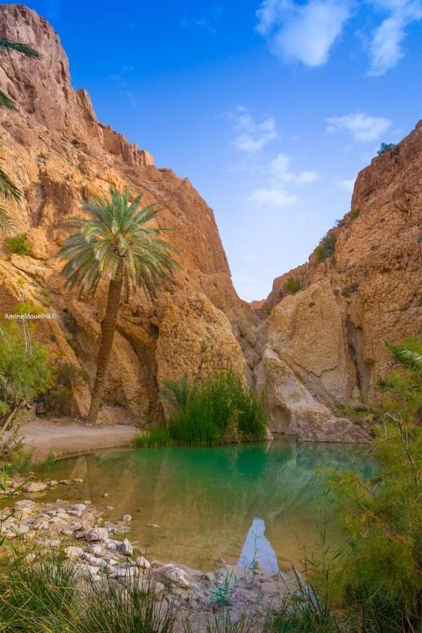 Villa Atlas Oasis Shabikah Buitenkant foto