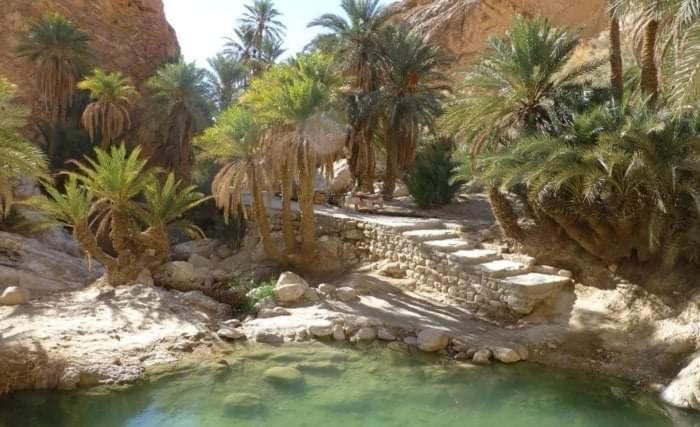 Villa Atlas Oasis Shabikah Buitenkant foto