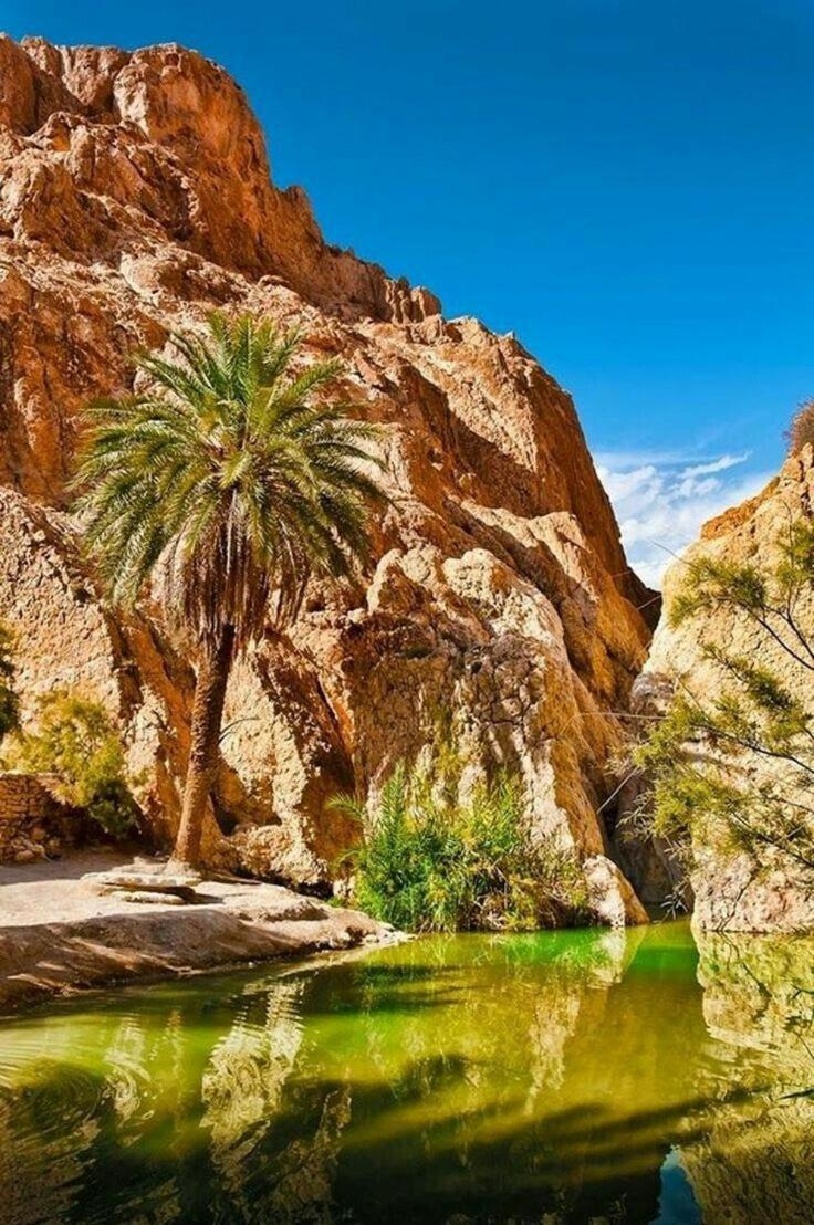 Villa Atlas Oasis Shabikah Buitenkant foto