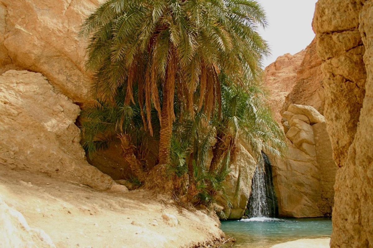 Villa Atlas Oasis Shabikah Buitenkant foto